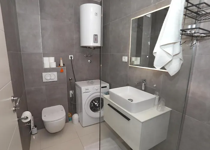 Turtles * 特罗吉尔