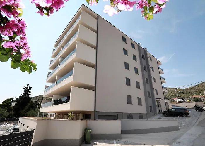 Turtles * טרוגיר